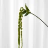 Amaranthus gren Kunstig Blomst - Grøn