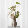 Buket Caladium Blad