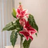 Buket Eventyrblomst