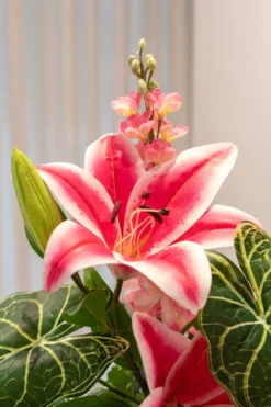 Buket Eventyrblomst