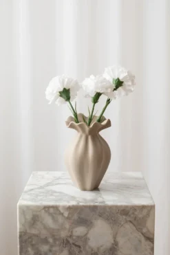 Buket Hvid Nellike