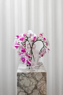 Buket Rosa Orkidédrøm
