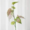 Caladium blad - grøn/rosa