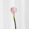 Calla lilje - rosa