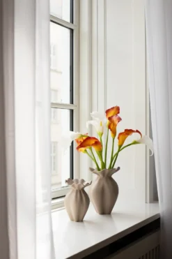 Calla lilje - sunset