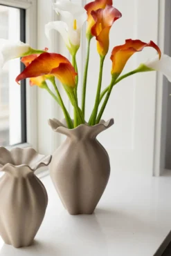 Calla lilje - sunset