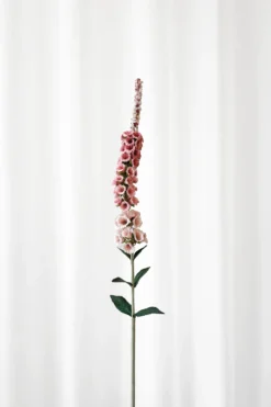 Delphinium Kunstig Blomst - pink