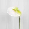 Flamingoblomst Kunstig Blomst - Hvid