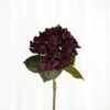Hortensia - burgundy