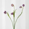 Klokkeblomst - lyselilla
