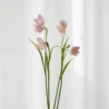 Klokkeblomst - rose