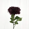 Krysantemum no. 2 - burgundy