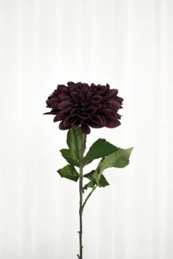 Krysantemum no. 2 - burgundy