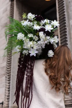 Krysantemum no. 2 - burgundy