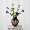 Lisianthus Drøm - lilla