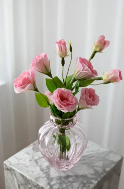 Lisianthus Drøm - pink