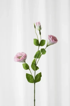 Lisianthus - lyserød