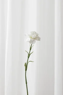 Nellike Kunstig Blomst - Hvid