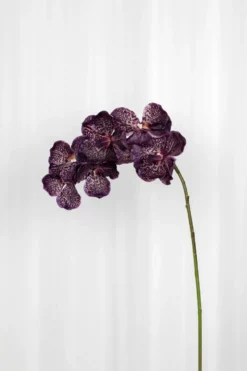 Orkidé Kunstig Blomst - Bordeaux | 7 hoveder
