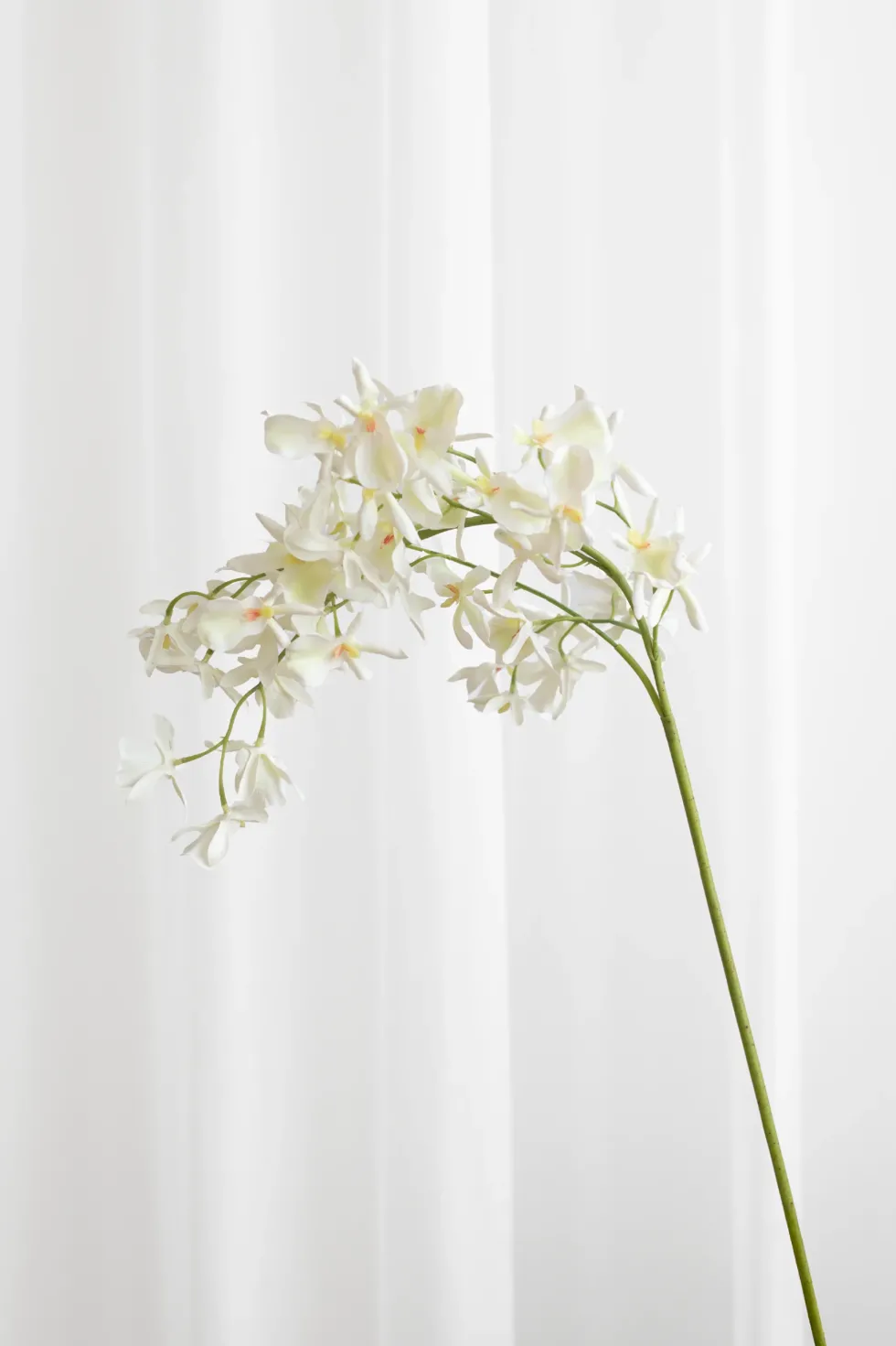 Orkidé Kunstig Blomst - Hvid | Flere hoveder
