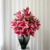 Pink Liljedrøm