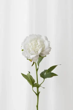 Pæon Kunstig Blomst - Hvid