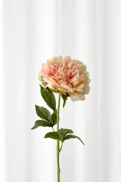 Pæon Kunstig Blomst - Peach