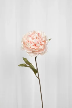 Pæon Kunstig Blomst - Rose