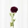 Ranunkel - burgundy