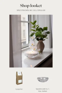 Shop looket - Specktra skål nr.1 og lyspulver - klar
