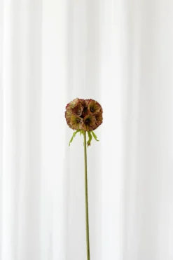 Skabiose Kunstig Blomst - Rød | Ét hoved
