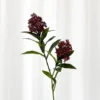 Skimmia gren Kunstig Blomst - Bordeaux