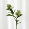 Skimmia gren Kunstig Blomst - Grøn