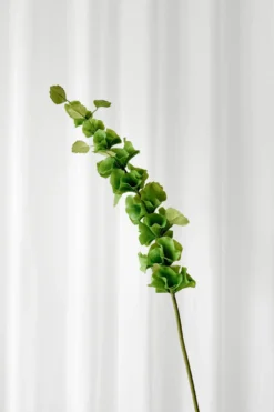 Tragtbæger Kunstig Blomst - Grøn