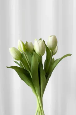 Tulipanbundt 5 - hvid