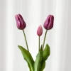 Tulipanbundt 7 - lyselilla