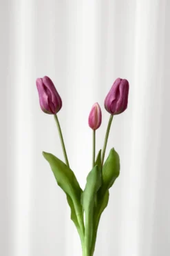 Tulipanbundt 7 - lyselilla