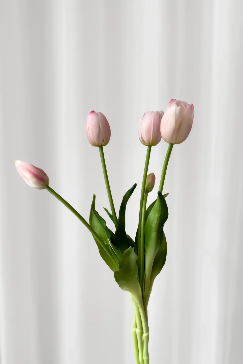 Tulipanbundt 1 - lyserød