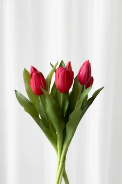 Tulipanbundt 5 - rose