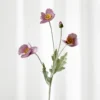 Valmue - violet